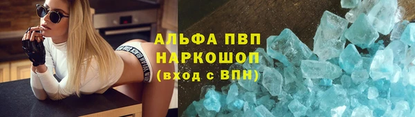 гашик Костерёво