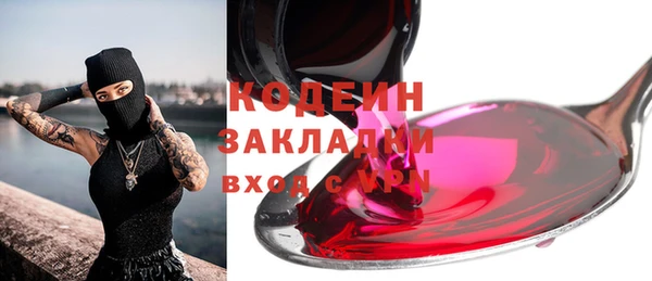 гашик Костерёво