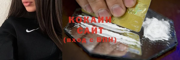 гашик Костерёво
