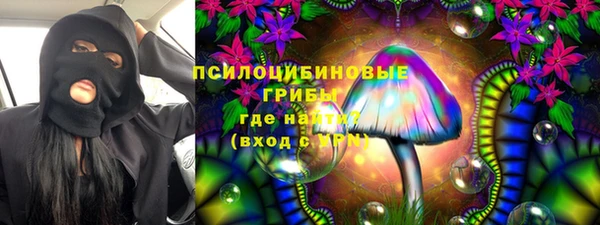 гашик Костерёво