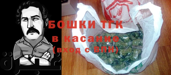 шишки Нижний Тагил