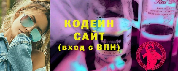 гашик Костерёво